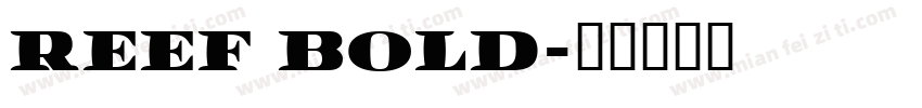 Reef bold字体转换